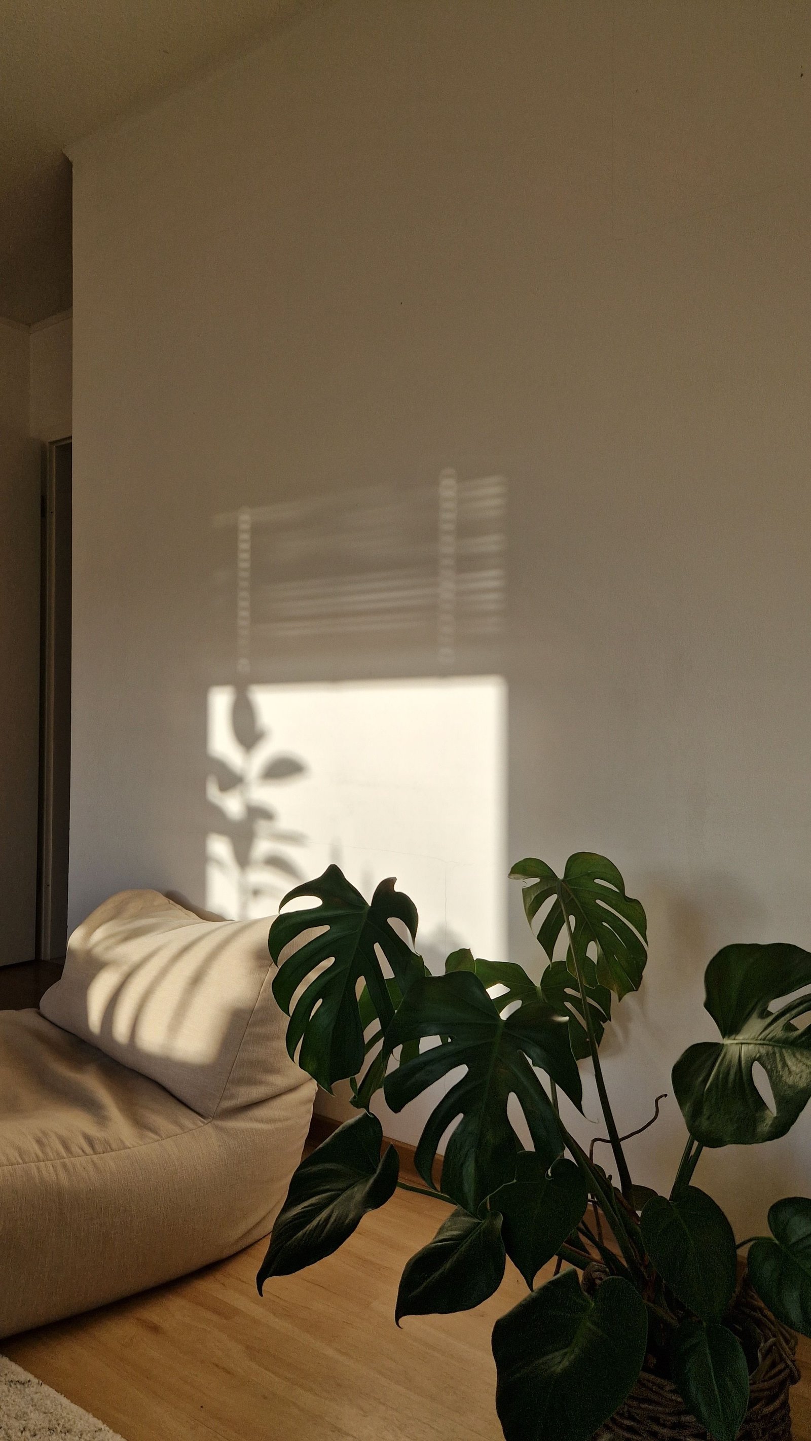How to Keep Your Home Organized Every Day With Simple Habits