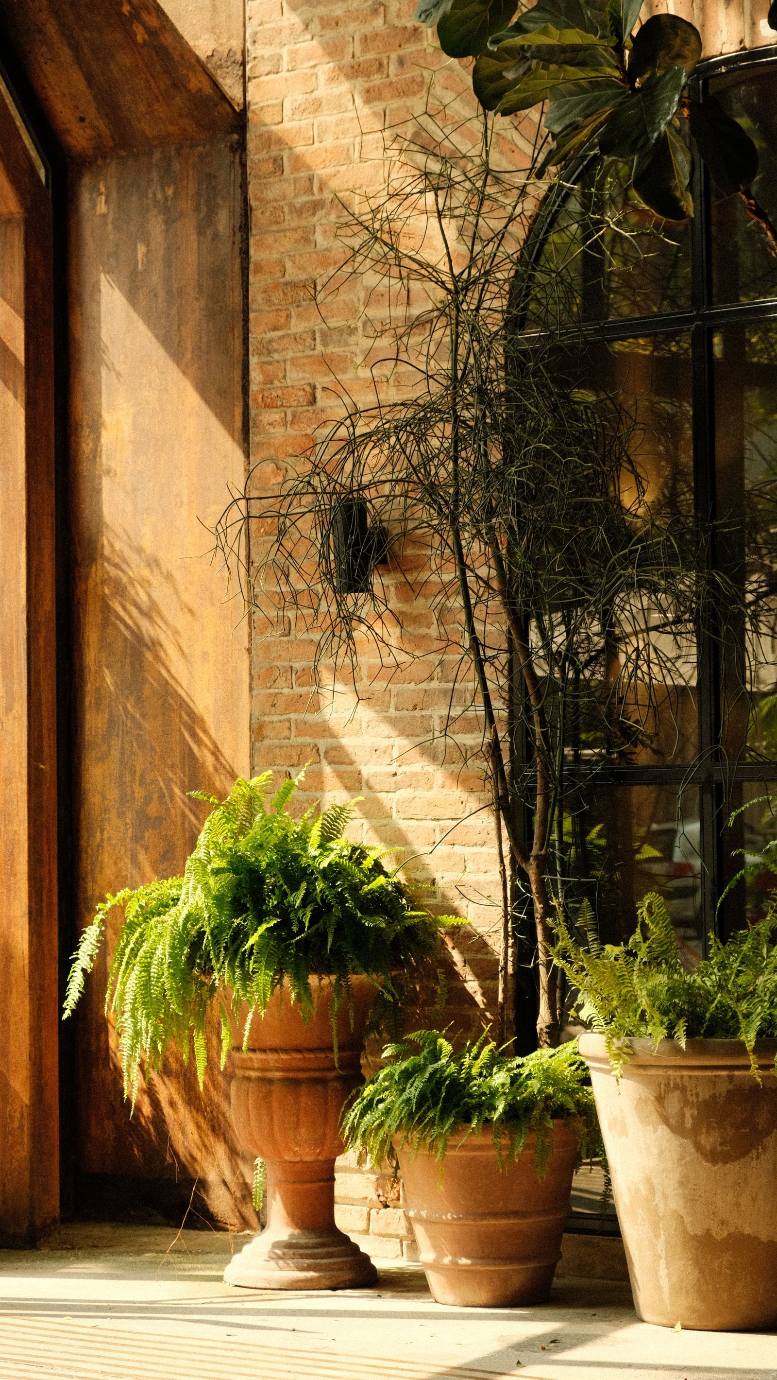 How to Improve Garden Drainage and Prevent Excess Water