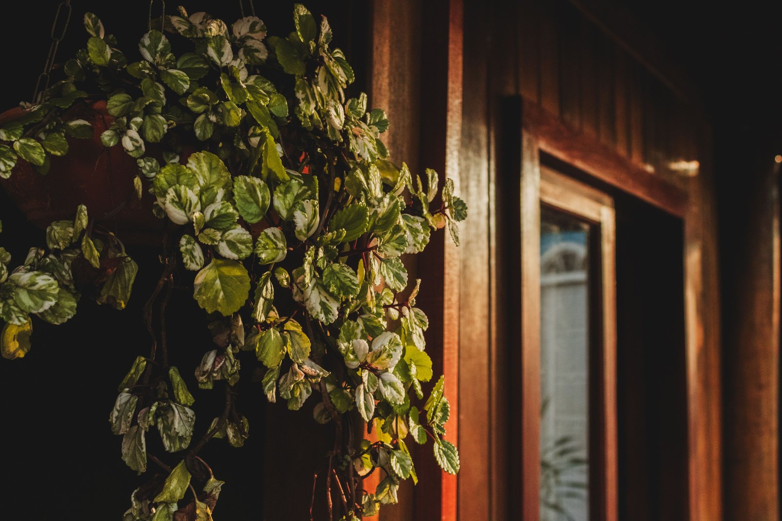 How to Plan a Garden for Every Season