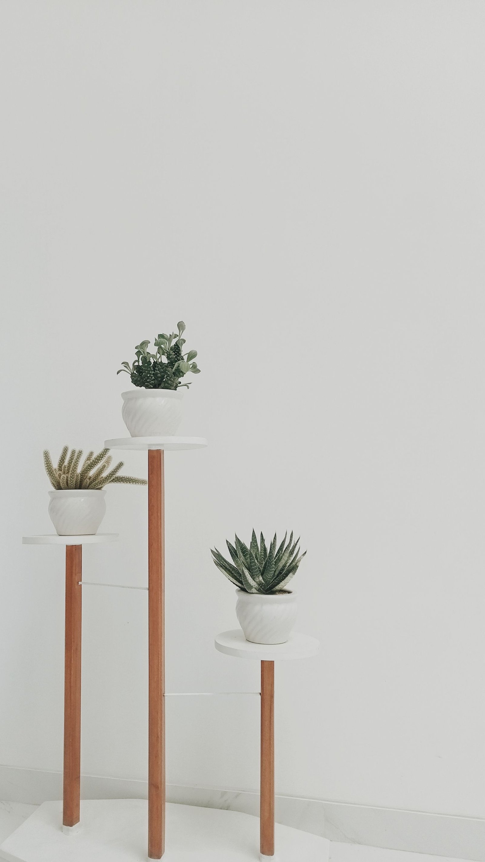 How to Prepare Your Home for Visitors Without Stress