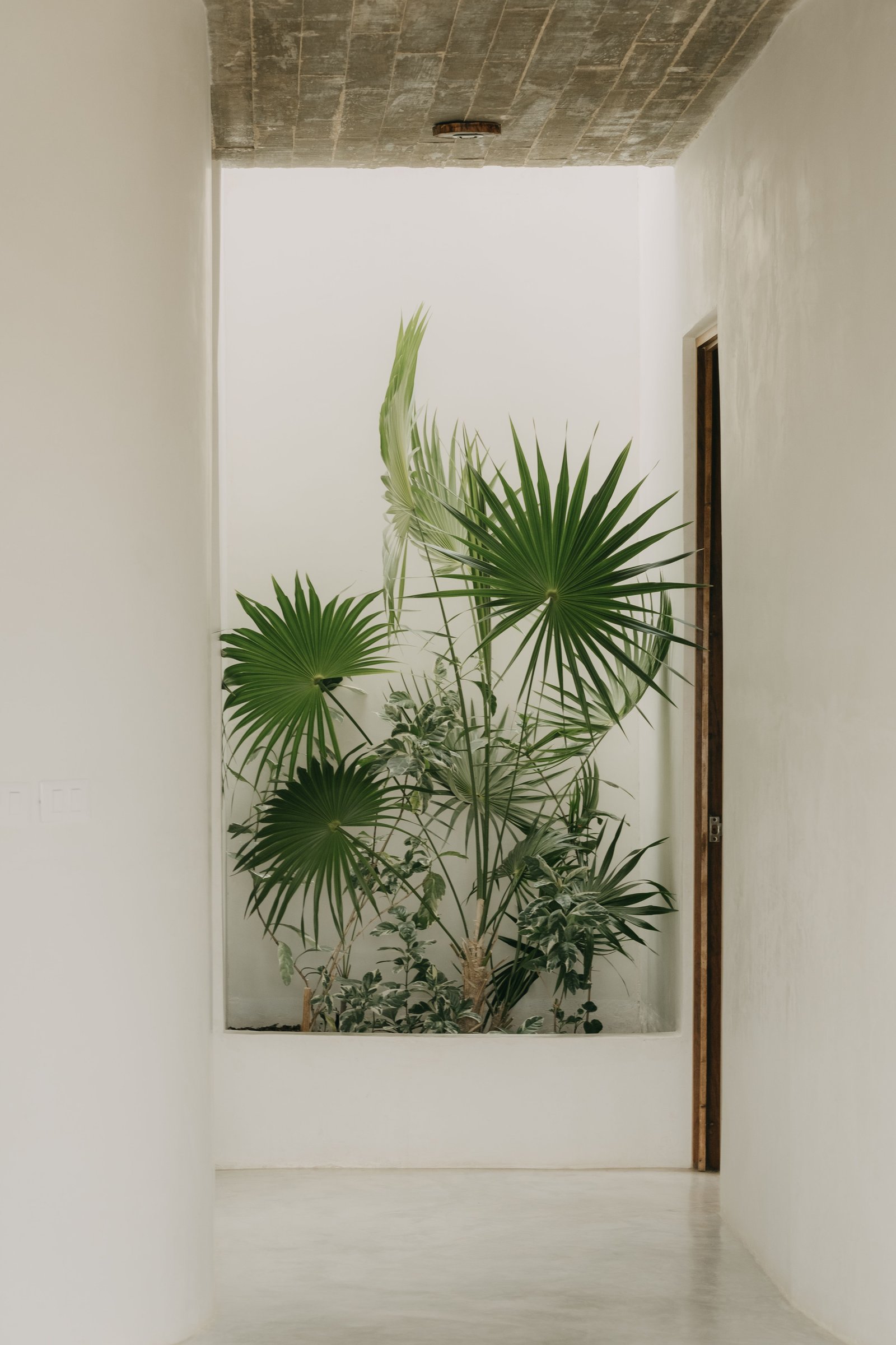 What to Do With Dry Leaves From the Garden