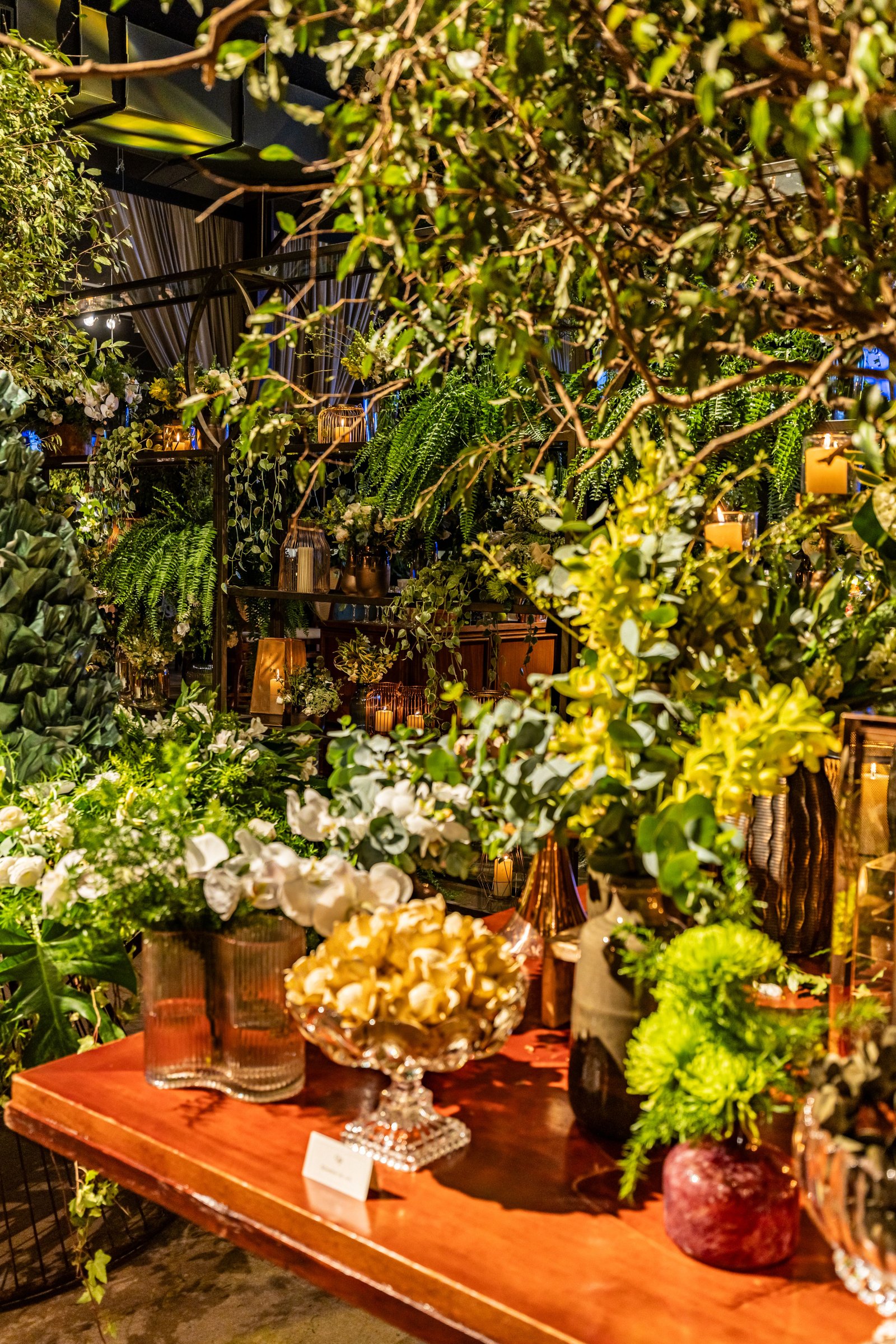 Plants That Help Create a Relaxing Atmosphere - supporting image 3