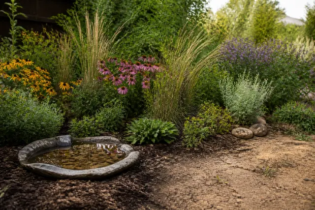 Shallow pebble water dish and bare soil patch in a pollinator garden.