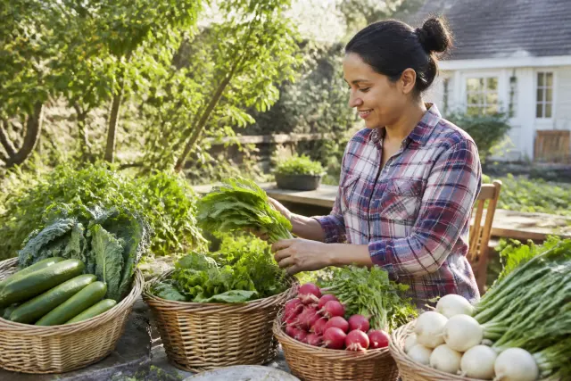 Backyard Farming Ideas for Extra Income